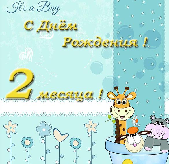 Скачать бесплатно Открытка на 2 месяца мальчика на сайте WishesCards.ru