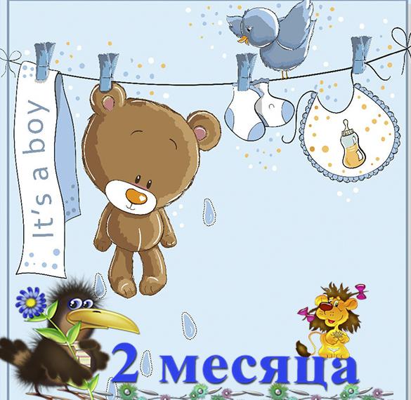 Скачать бесплатно Открытка на 2 месяца ребенка на сайте WishesCards.ru
