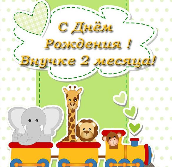 Скачать бесплатно Открытка на 2 месяца внучке на сайте WishesCards.ru