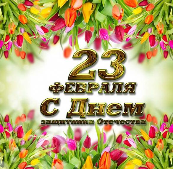 Скачать бесплатно Открытка на 23 февраля с цветами на сайте WishesCards.ru