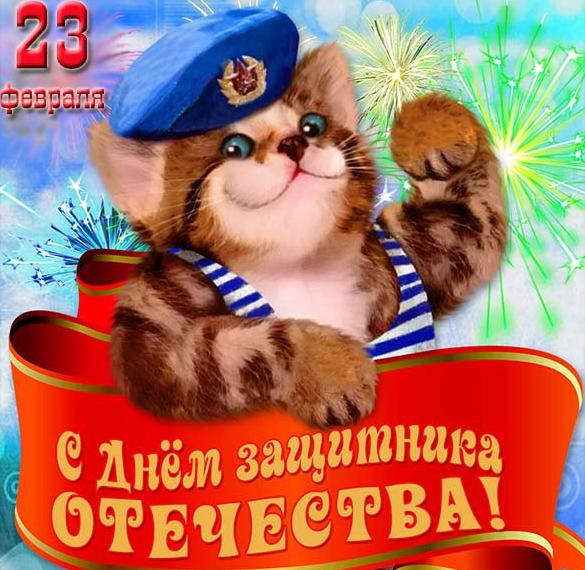 Скачать бесплатно Открытка на 23 февраля с котом на сайте WishesCards.ru