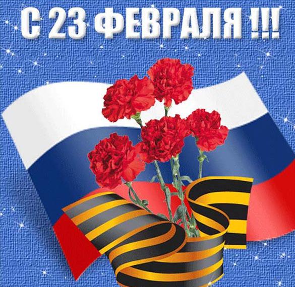 Скачать бесплатно Открытка на 23 февраля с красивыми гвоздиками на сайте WishesCards.ru