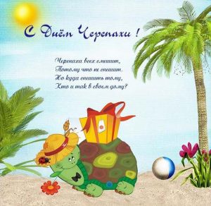 Скачать бесплатно Открытка на день черепахи на сайте WishesCards.ru