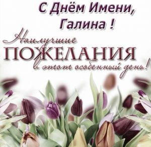 Скачать бесплатно Открытка на день имени Галина на сайте WishesCards.ru