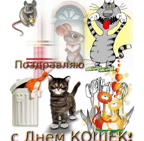 Скачать бесплатно Открытка на день кошек международный на сайте WishesCards.ru