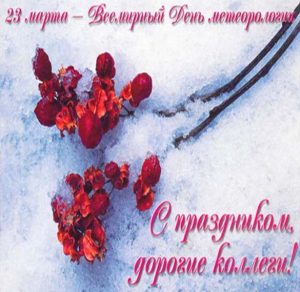 Скачать бесплатно Открытка на день метеоролога с поздравлением коллегам на сайте WishesCards.ru