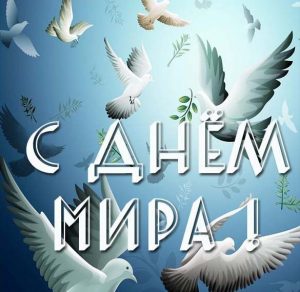 Скачать бесплатно Открытка на день мира на сайте WishesCards.ru