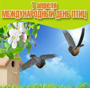 Скачать бесплатно Открытка на день птиц на сайте WishesCards.ru