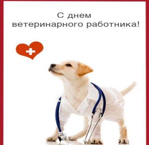 Скачать бесплатно Открытка на день ветеринара на сайте WishesCards.ru