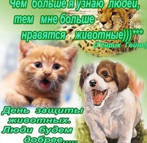 Скачать бесплатно Открытка на день животных на сайте WishesCards.ru