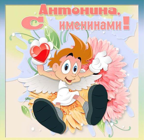Скачать бесплатно Открытка на именины Антонины на сайте WishesCards.ru
