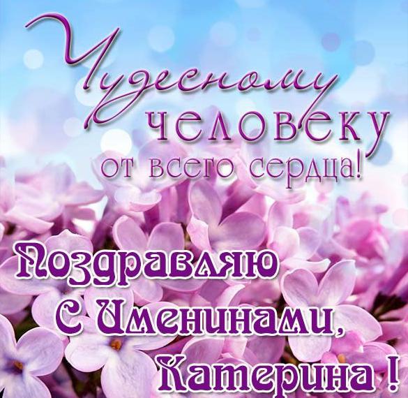 Скачать бесплатно Открытка на именины для Катерины на сайте WishesCards.ru