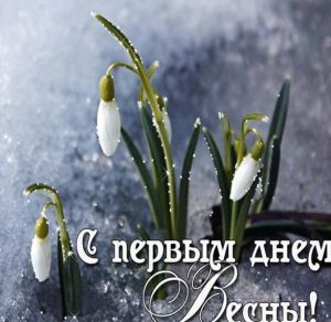 Скачать бесплатно Открытка на начало весны на сайте WishesCards.ru