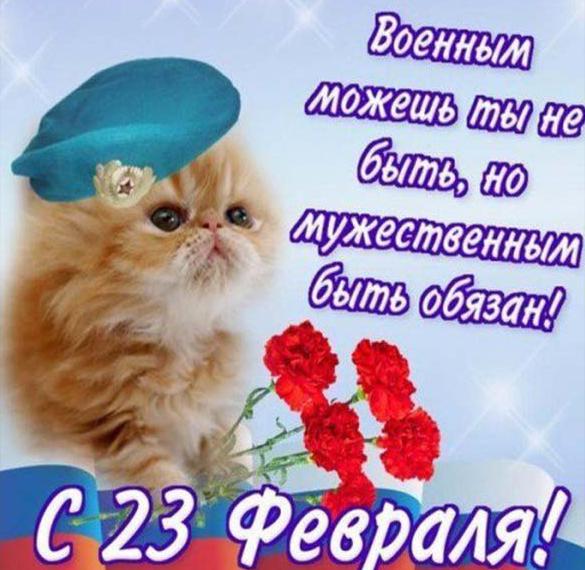Скачать бесплатно Открытка на праздник день защитника отечества с приколом на сайте WishesCards.ru