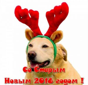 Скачать бесплатно Открытка на Старый Новый год 2018 собаки на сайте WishesCards.ru