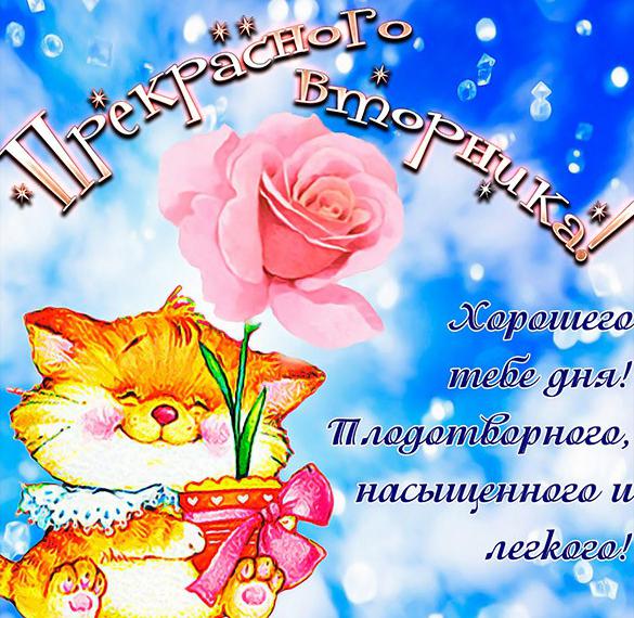 Скачать бесплатно Открытка на вторник с пожеланием на сайте WishesCards.ru