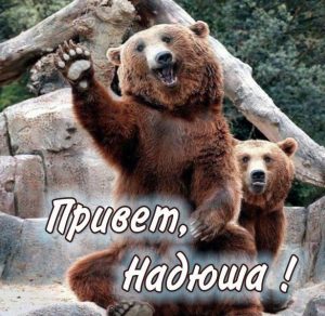 Скачать бесплатно Открытка Надюша привет на сайте WishesCards.ru