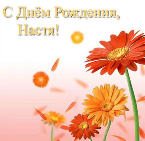 Скачать бесплатно Открытка Насте в день рождения на сайте WishesCards.ru
