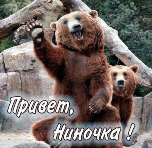 Скачать бесплатно Открытка Ниночка привет на сайте WishesCards.ru