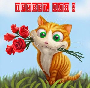 Скачать бесплатно Открытка Оле с приветом на сайте WishesCards.ru