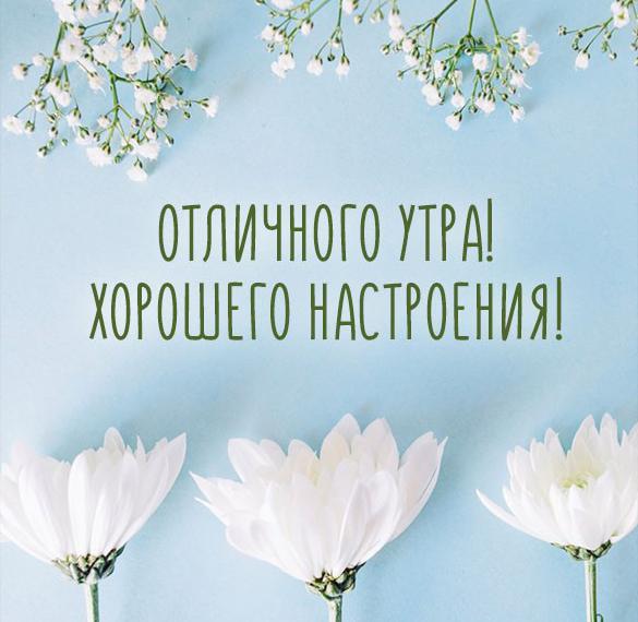 Скачать бесплатно Открытка отличного утра и хорошего настроения на сайте WishesCards.ru