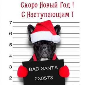 Скачать бесплатно Открытка перед Новым Годом на сайте WishesCards.ru