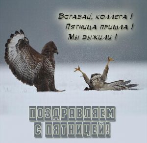 Скачать бесплатно Открытка поздравление с пятницей с юмором на сайте WishesCards.ru