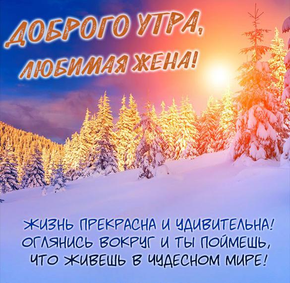 Скачать бесплатно Открытка пожелание доброго утра любимой жене на сайте WishesCards.ru