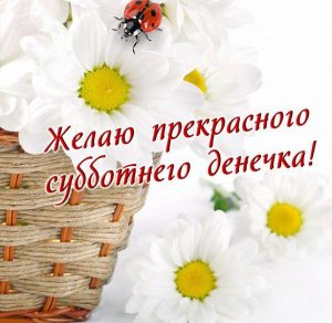 Скачать бесплатно Открытка прекрасного субботнего дня на сайте WishesCards.ru