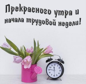 Скачать бесплатно Открытка прекрасного утра и начало трудовой недели на сайте WishesCards.ru