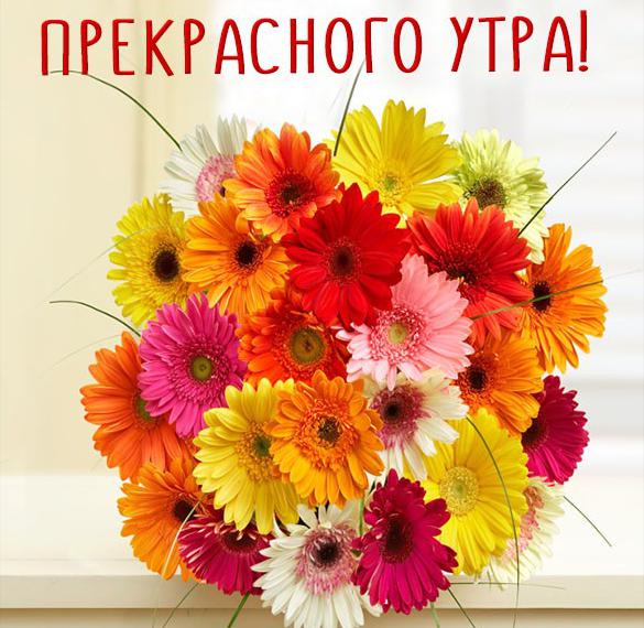 Скачать бесплатно Открытка прекрасного утра женщине на сайте WishesCards.ru