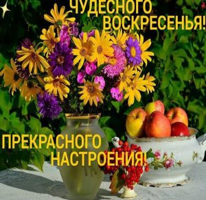 Скачать бесплатно Открытка прекрасного воскресного дня и настроения на сайте WishesCards.ru