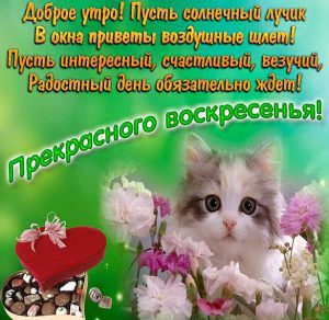 Скачать бесплатно Открытка прекрасного воскресного дня на сайте WishesCards.ru