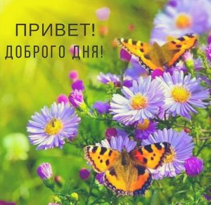 Скачать бесплатно Открытка привет доброго дня на сайте WishesCards.ru