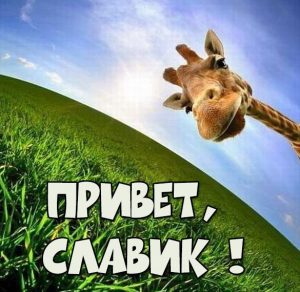 Скачать бесплатно Открытка привет Славик на сайте WishesCards.ru