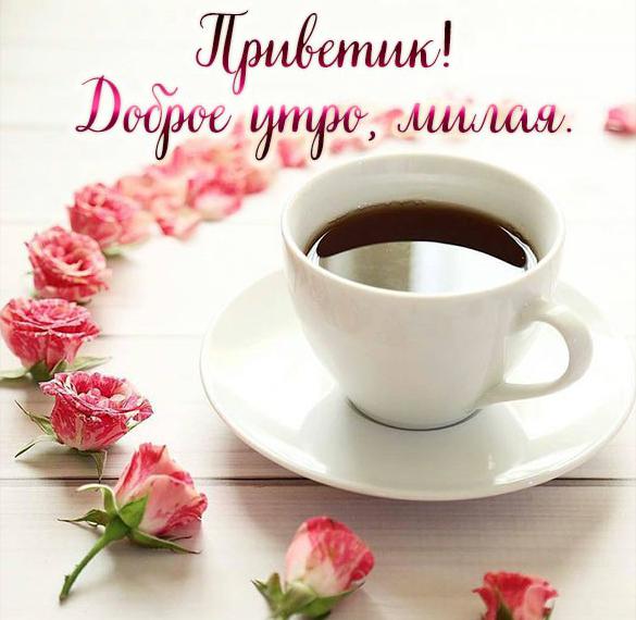 Скачать бесплатно Открытка приветик доброе утро милая на сайте WishesCards.ru