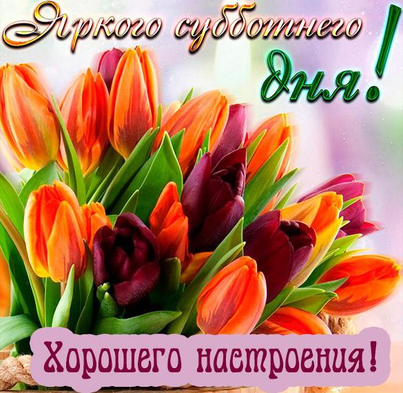 Скачать бесплатно Открытка приятного дня и хорошего настроения на сайте WishesCards.ru