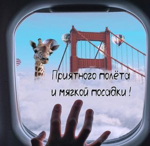 Скачать бесплатно Открытка приятного полета и мягкой посадки прикольная на сайте WishesCards.ru