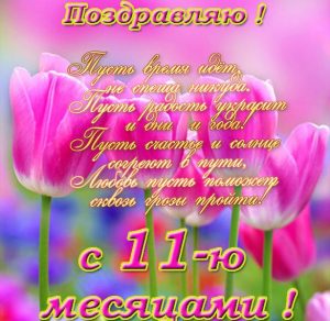 Скачать бесплатно Открытка с 11 месяцами девочке на сайте WishesCards.ru