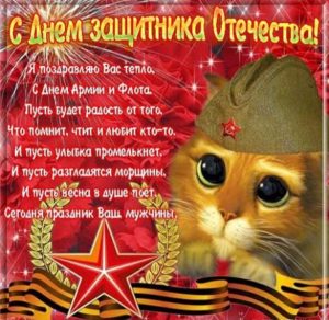 Скачать бесплатно Открытка с 23 февраля с кошкой на сайте WishesCards.ru