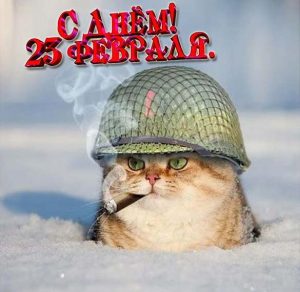 Скачать бесплатно Открытка с 23 февраля с котиками на сайте WishesCards.ru