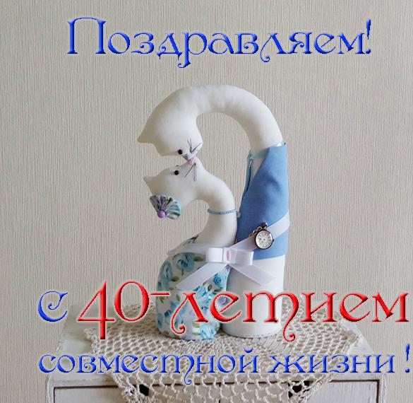 Скачать бесплатно Открытка с 40 летием совместной жизни на сайте WishesCards.ru