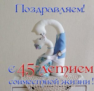 Скачать бесплатно Открытка с 45 летием совместной жизни на сайте WishesCards.ru