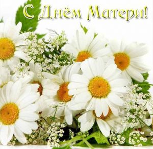 Скачать бесплатно Открытка с цветами на день матери на сайте WishesCards.ru