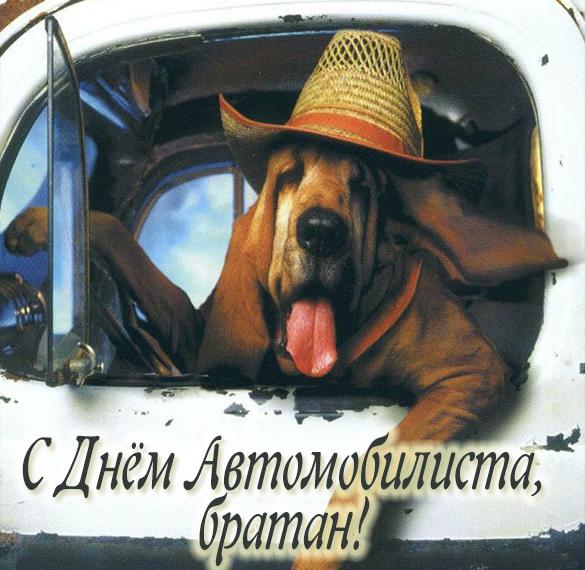 Скачать бесплатно Открытка с днем автомобилиста с юмором на сайте WishesCards.ru