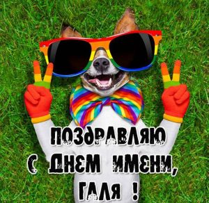 Скачать бесплатно Открытка с днем имени Галя на сайте WishesCards.ru