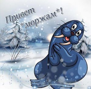 Скачать бесплатно Открытка с днем моржа на сайте WishesCards.ru