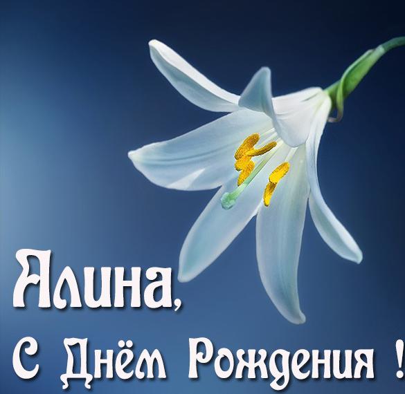 Скачать бесплатно Открытка с днем рождения Алина для девочки на сайте WishesCards.ru