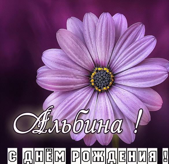 Скачать бесплатно Открытка с днем рождения Альбине девочке на сайте WishesCards.ru