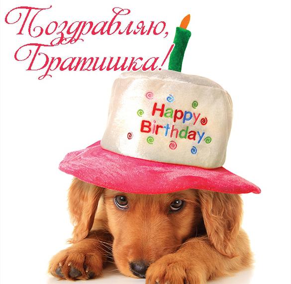 Скачать бесплатно Открытка с днем рождения братишка на сайте WishesCards.ru